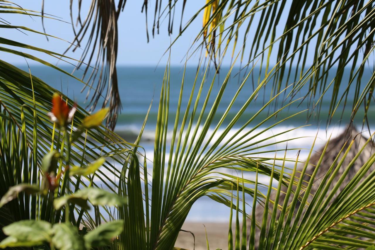 Hotel Tapas & Surf Petacaltepe Zewnętrze zdjęcie